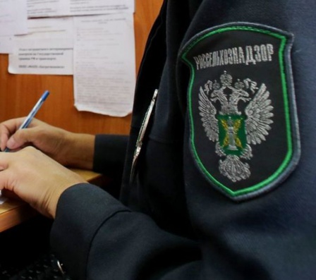 Россельхознадзор вновь обвинил Белоруссию в поставках санкционной продукции