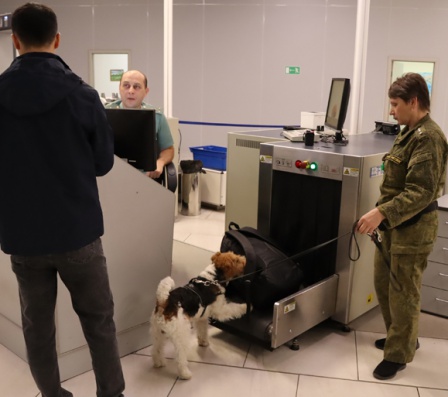 1700 правонарушений пресекли сибирские таможенники с помощью служебных собак